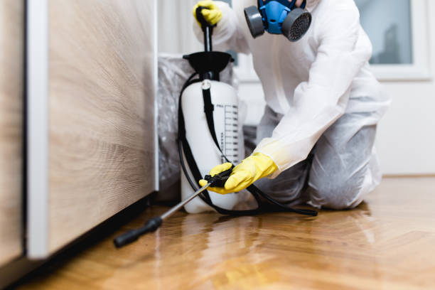 Best Best Pest Control Companies  in Davison, MI