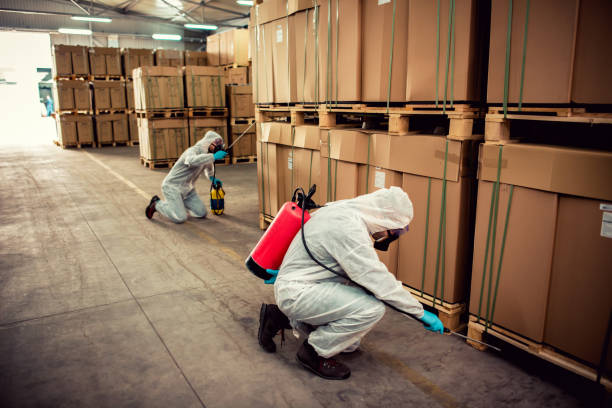 Best Wildlife Control Services  in Davison, MI