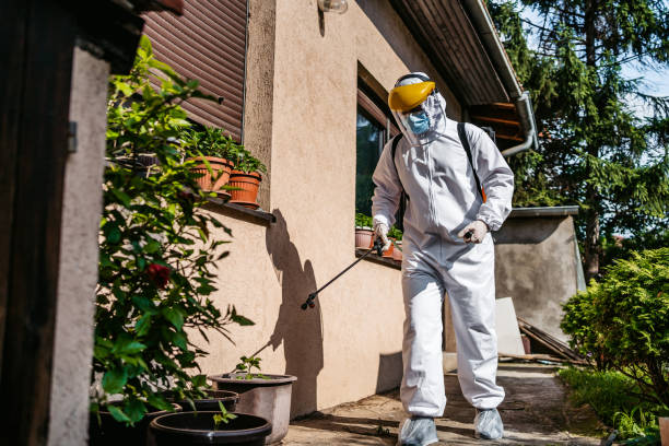 Best Termite Control Services  in Davison, MI