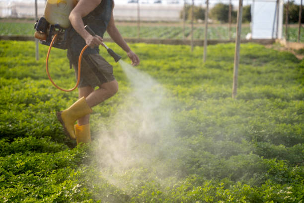 Best Affordable Pest Control Services  in Davison, MI