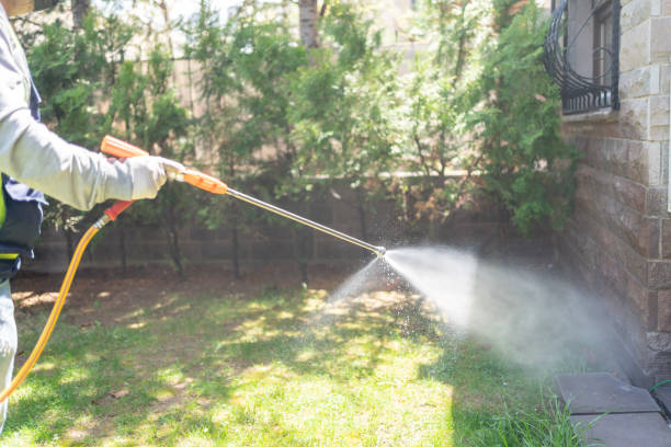 Best Termite Control Services  in Davison, MI