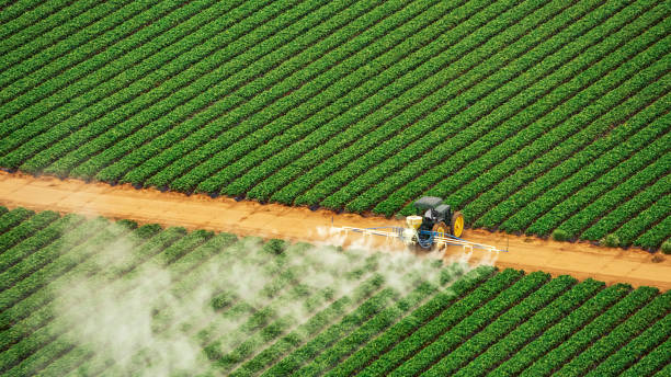 Best Pest Removal Services  in Davison, MI