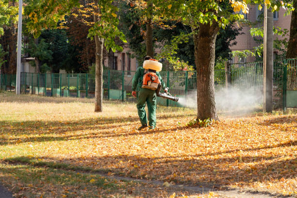 Best Rat Extermination Near Me  in Davison, MI