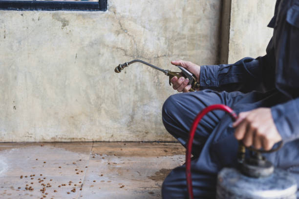 Professional Pest Control in Davison, MI
